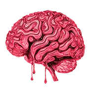 brain